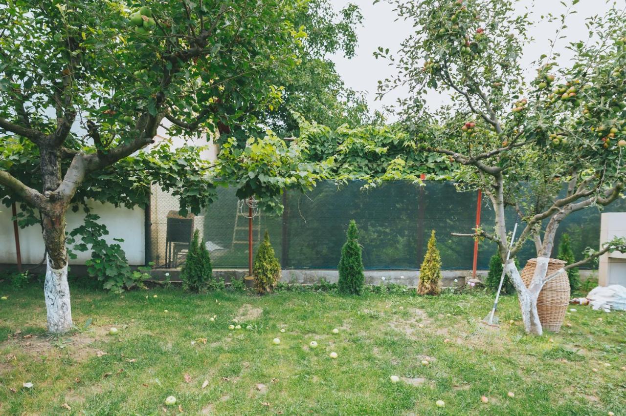 Casa Vinco Vici Turda Exterior foto
